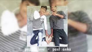 Cover art for Puppy Love (sped up)