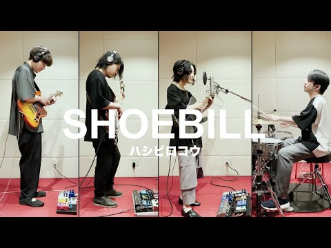 水中スピカ「Shoebill」Studio Session