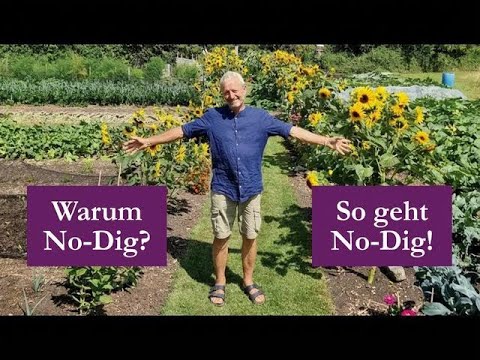 No-Dig-Methode einfach erklärt: Gesündere Böden, weniger Unkraut, größere Ernten