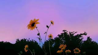 İrem - Git (Şarkı Sözleri)