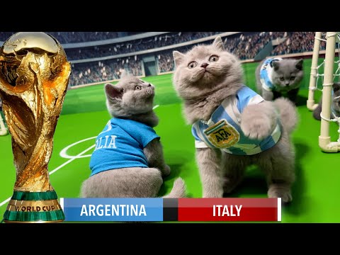 LETS UNLEASH CATS KITTENS WORLD CUP GAME 5! SEMIFINALS