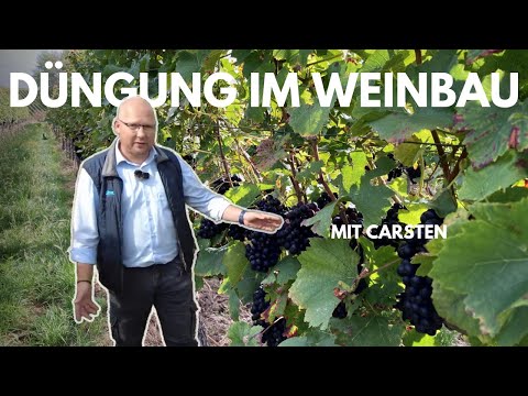 Von Experten für Profis –  Düngung im Weinbau - Rheingau