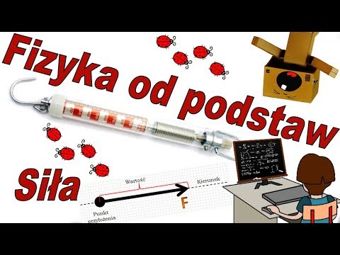 Fizyka od podstaw: Czy siła to wektor Jakie cechy ma wektor