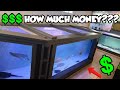 Cheapest Way To Build A Large Aquarium