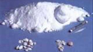 NEW RAEKWON-- 10 BRICKS-- 2009 SHIT