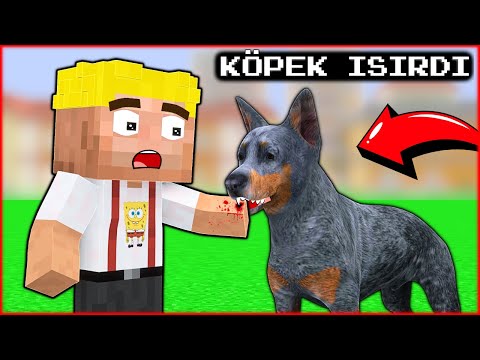 EFEKAN WAS BITTEN BY A DOG! 😱 - Minecraft