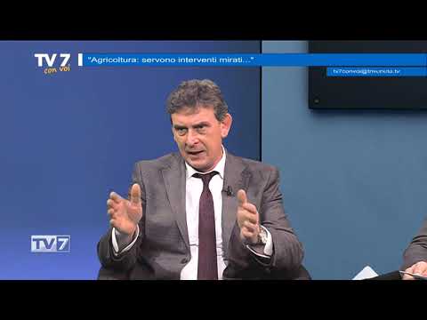 Tv7 con Voi del 22/01/2019 - Agricoltura servono interventi mirati (2 di 3)