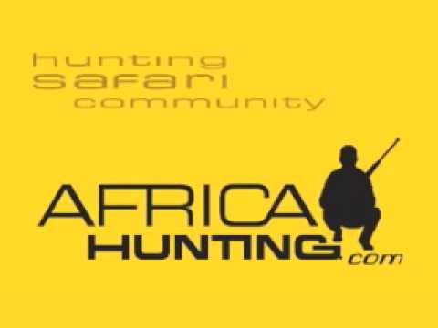 Hunting Lion Charge  - AfricaHunting.com