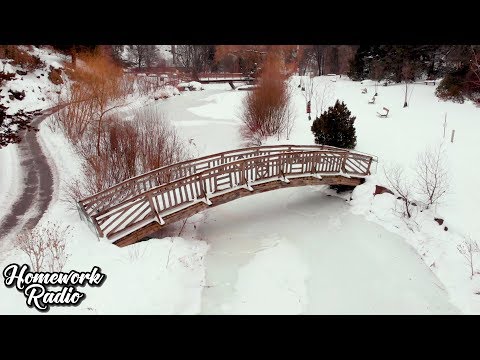 Locolm - Walking Alone ❄