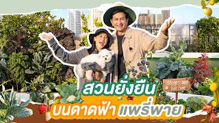 Pearypie’s Sky Garden, a sustainable edible garden on the rooftop.