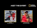 Face To Face With A Bear Meet The Expert National Geographic