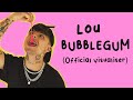 LOU BUBBLEGUM Official Visualiser