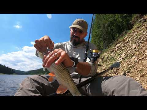 Pescuit dic Caiac pe lacul Belis. Am prins cleni frumosi si bibani unul dupa altul !!!