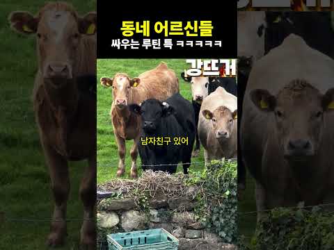 먼저 시비 걸었자네