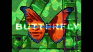 Cover art for Butterfly DDR