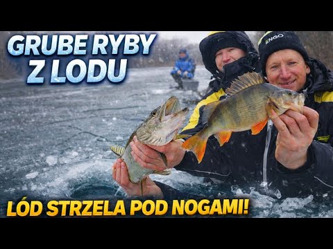 LÓD STRZELAŁ POD NOGAMI! GRUBE RYBY Z LODU