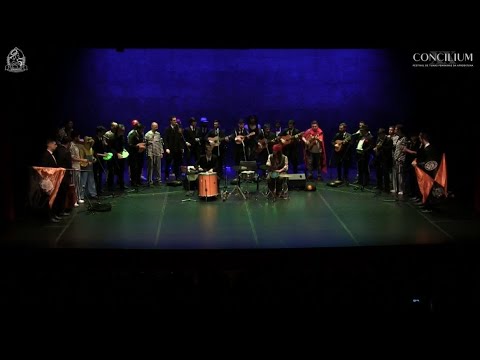 XX Concilium (Noite de Espetáculo) - Gatunos