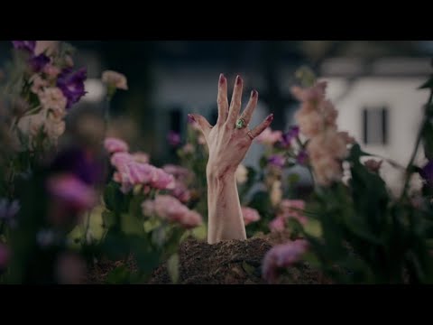 Daria Zawiałow, Sokół - Laura (Teaser) | Klip już dostępny
