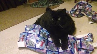 Fatuous Friday Episode 1