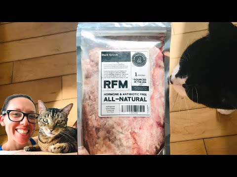 , title : 'Raw Feeding Miami cat food review with 5 cats'