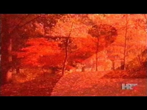 HRT 2 - Pregled programa (1. veljača 2006.) (reupload)