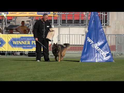 1538 Rex Danube Guardian - TSB BSZS-2023 - Disq.