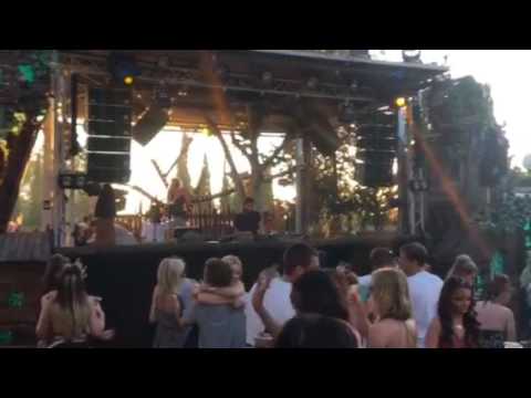 Dana Ruh at Zooproject 07/2017 take2