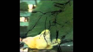 William Basinski   The Garden of Brokenness