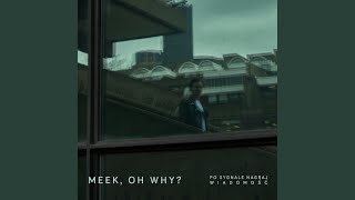 Kadr z teledysku Latawce tekst piosenki Meek, Oh Why?