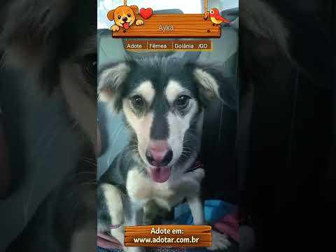 Vídeo de Ayka