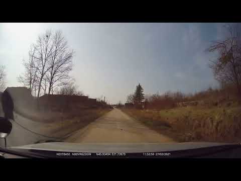 Coşarii, Timiș, România [2021] | 4K