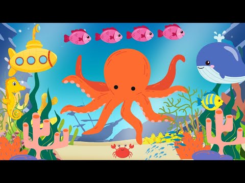 Ocean Melody: A Baby Sensory Video with Visual Stimulation and Brain Development | High Contrast