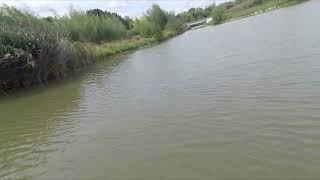 Splish Splash von Frank Zander