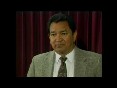 Head on news archive.mp4