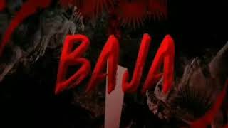 Rawtek & Reel The Soundbender - Baja                    (Insomniac Records)