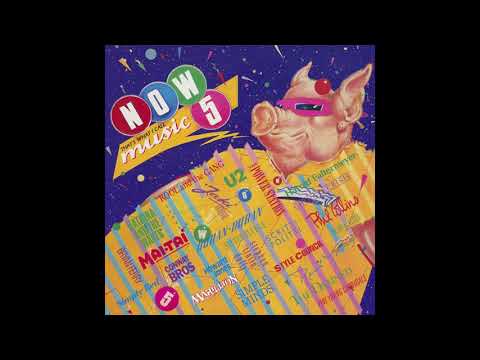 Stephen "Tin Tin" Duffy - Icing On The Cake [HQ, Lyrics]