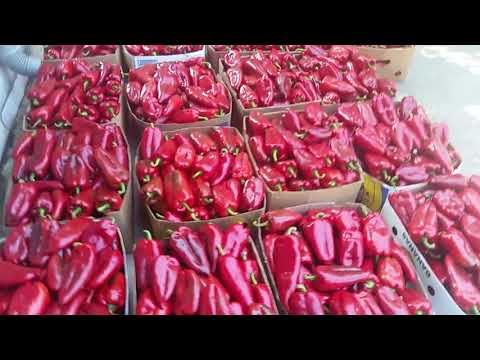 Melez Ajvarka ( Kod Familije Drezgić )