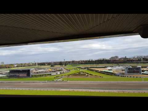 2016/12/3 - Nakayama Racetrack - Steeplechase