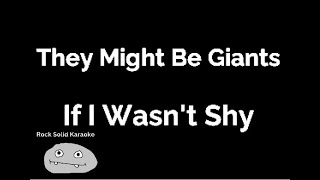 They Might Be Giants - If I Wasn't Shy (karaoke)