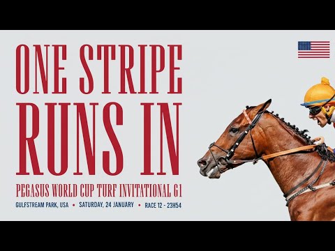 One Stripe Readies for the Pegasus Turf Invitational 2026