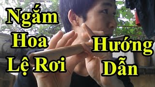 Hướng dẫn Thổi Sáo Ngắm Hoa Lệ Rơi (Hoa Vinh- Châu Khải Phong) Cực Kì chi tiết - Alex Tú.