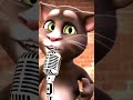 Mein Tota Mein Tota Shorts