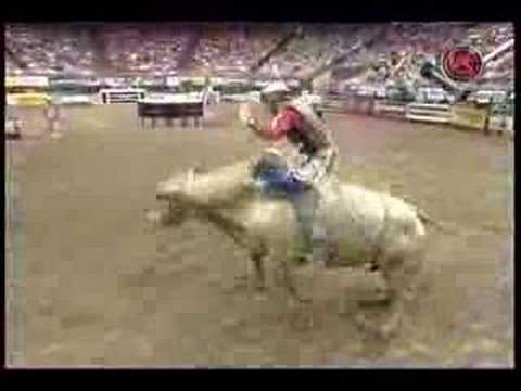 Sean Willingham Vs. Mule Train