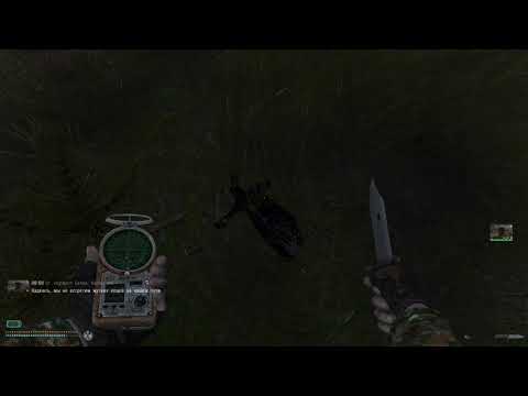 Stalker anomaly bird