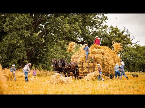 Iany & Cristina Laurenciuc - Privesc cum lucratorii