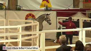 Video of Carsten