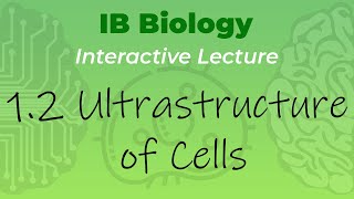 IB Biology 1.2 - Ultrastructure of Cells - Interactive Lecture