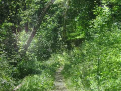 "Małe miłości"- Tomek Kamiński