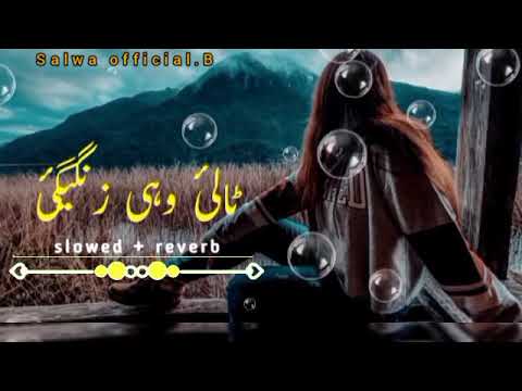 talai wahi zangigi pashto new song (slowed + Reverb)