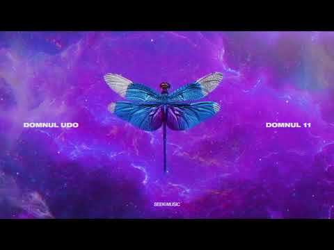 Domnul Udo - Basme feat. Killa Fonic (Audio)